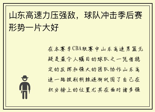 山东高速力压强敌，球队冲击季后赛形势一片大好