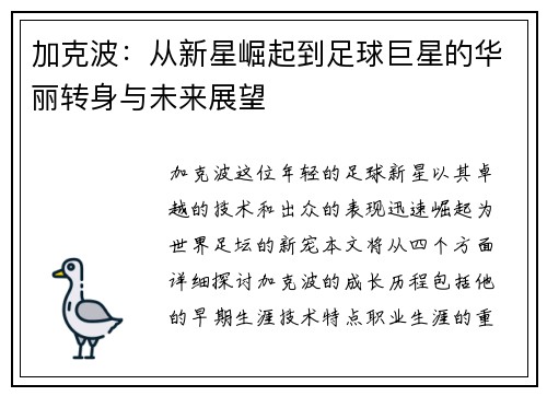 加克波：从新星崛起到足球巨星的华丽转身与未来展望