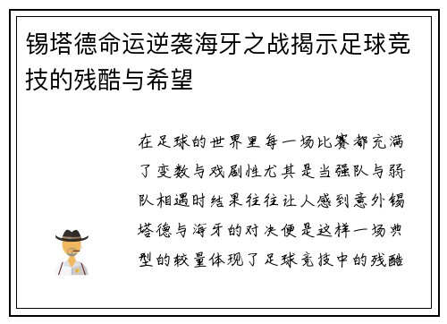 锡塔德命运逆袭海牙之战揭示足球竞技的残酷与希望