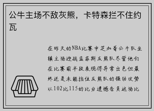 公牛主场不敌灰熊，卡特森拦不住约瓦