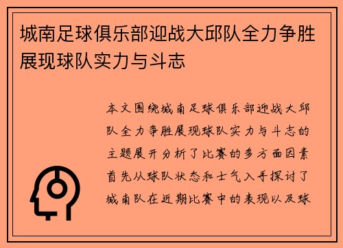 城南足球俱乐部迎战大邱队全力争胜展现球队实力与斗志
